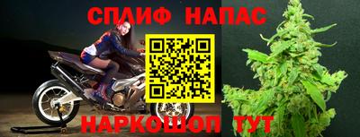 эйфоретик Бузулук
