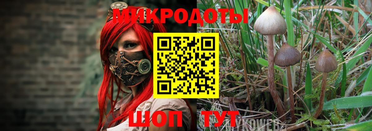 Псилоцибиновые грибы мицелий  Вход с VPN  Удомля 