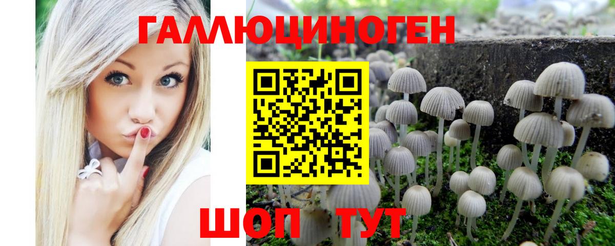 Псилоцибиновые грибы мухоморы Удомля